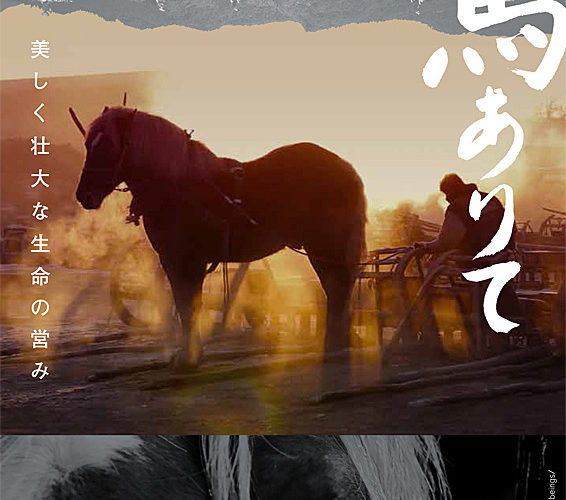 『馬ありて』笹谷遼平監督 舞台挨拶