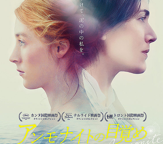 アンモナイトの目覚め