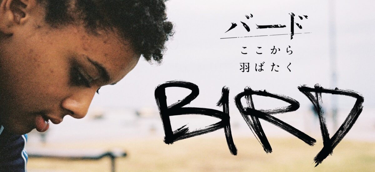 bird01