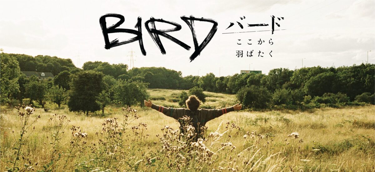 bird02