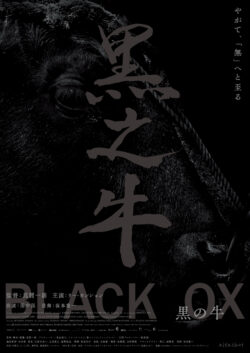 黒の牛